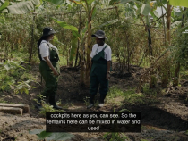The Community Biogas Project