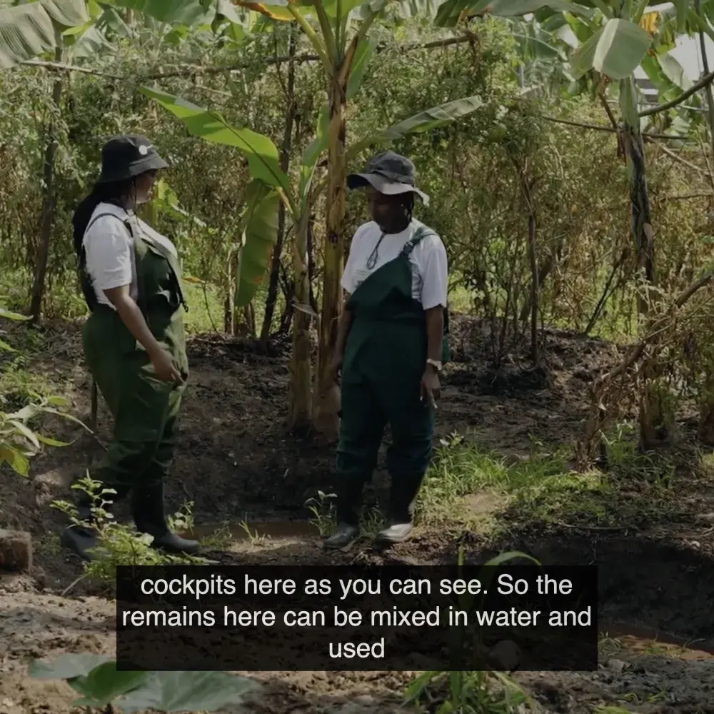 The Community Biogas Project